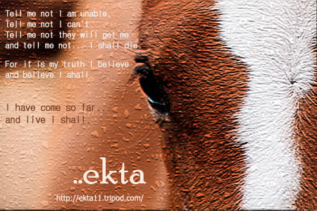 Ekta